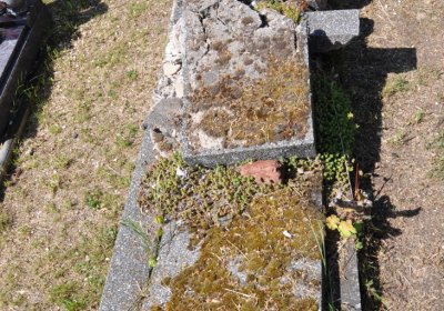 Horní Ves Chomutov, Omnium, 2020