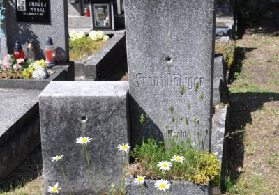 Horní Ves Chomutov, Omnium, 2020