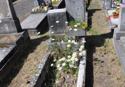 Horní Ves Chomutov, Omnium, 2020