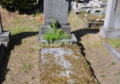 Horní Ves Chomutov, Omnium, 2020