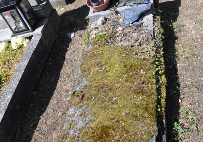 Horní Ves Chomutov, Omnium, 2020