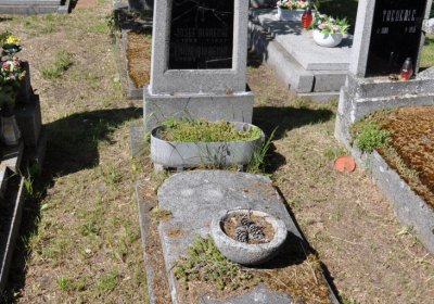 Horní Ves Chomutov, Omnium, 2020