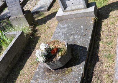 Horní Ves Chomutov, Omnium, 2020