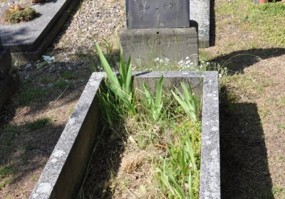 Horní Ves Chomutov, Omnium, 2020