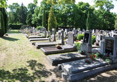 Horní Ves Chomutov, Omnium, 2020