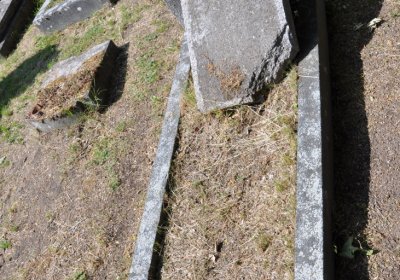 Horní Ves Chomutov, Omnium, 2020