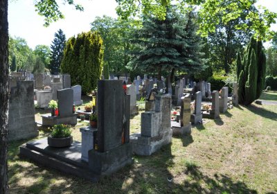 Horní Ves Chomutov, Omnium, 2020