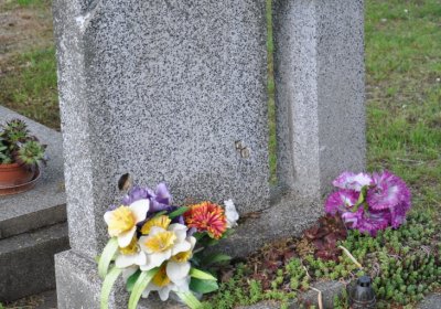 Horní Ves Chomutov, Omnium, 2020