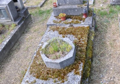 Horní Ves Chomutov, Omnium, 2020