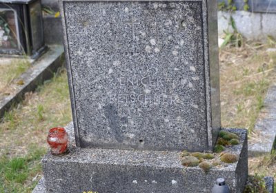 Horní Ves Chomutov, Omnium, 2020