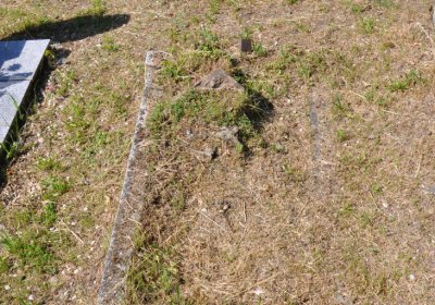 Horní Ves Chomutov, Omnium, 2020