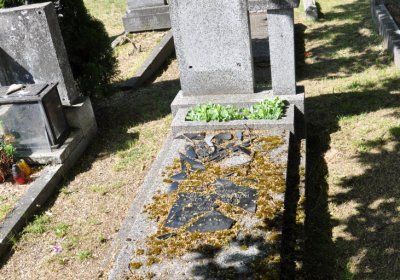 Horní Ves Chomutov, Omnium, 2020