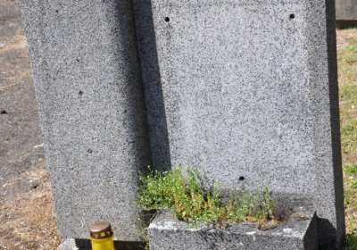 Horní Ves Chomutov, Omnium, 2020