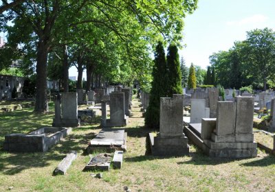 Horní Ves Chomutov, Omnium, 2020