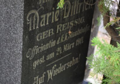 Horní Ves Chomutov, Omnium, 2020