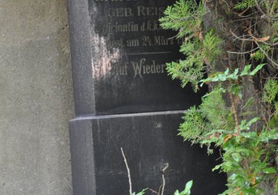 Horní Ves Chomutov, Omnium, 2020