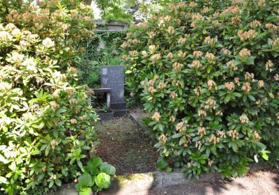 Horní Ves Chomutov, Omnium, 2020