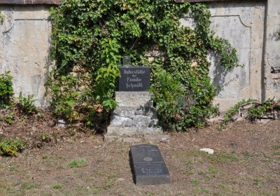 Horní Ves Chomutov, Omnium, 2020