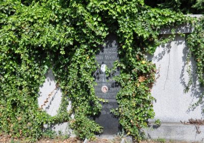 Horní Ves Chomutov, Omnium, 2020