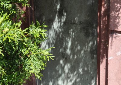 Horní Ves Chomutov, Omnium, 2020