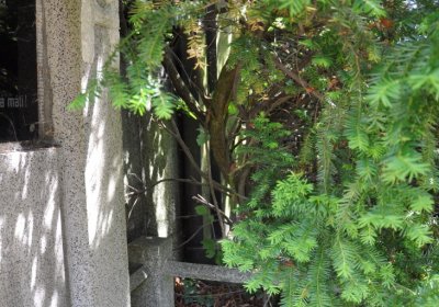 Horní Ves Chomutov, Omnium, 2020