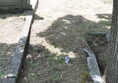 Horní Ves Chomutov, Omnium, 2020