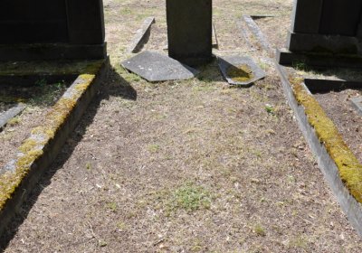 Horní Ves Chomutov, Omnium, 2020