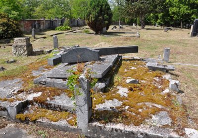 Horní Ves Chomutov, Omnium, 2020