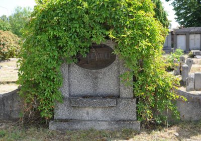 Horní Ves Chomutov, Omnium, 2020