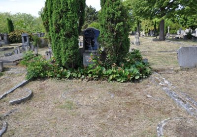 Horní Ves Chomutov, Omnium, 2020