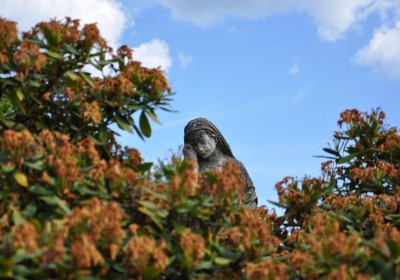 Horní Ves Chomutov, Omnium, 2020