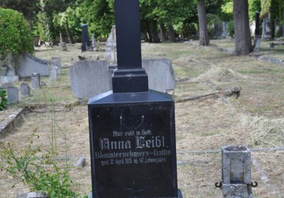 Horní Ves Chomutov, Omnium, 2020