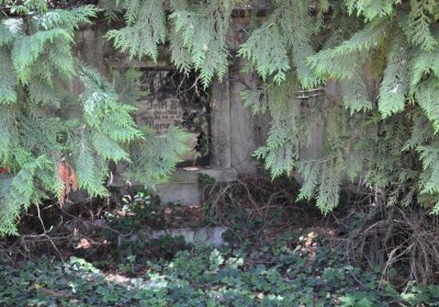 Horní Ves Chomutov, Omnium, 2020