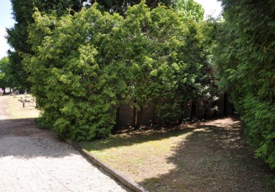 Horní Ves Chomutov, Omnium, 2020