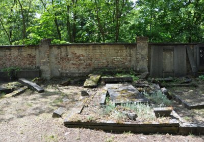 Horní Ves Chomutov, Omnium, 2020