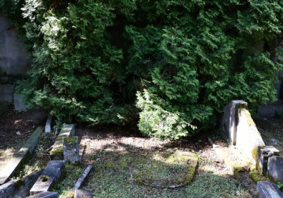 Horní Ves Chomutov, Omnium, 2020