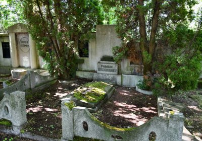 Horní Ves Chomutov, Omnium, 2020