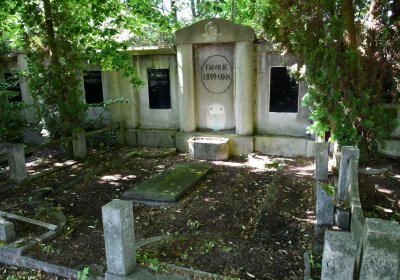 Horní Ves Chomutov, Omnium, 2020