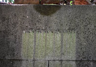 Horní Ves Chomutov, Omnium, 2020