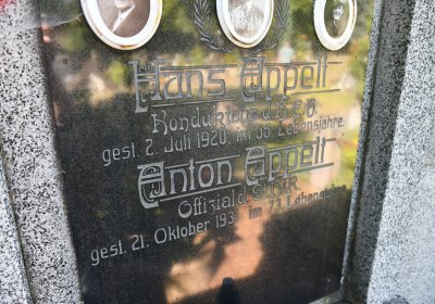 Horní Ves Chomutov, Omnium, 2020