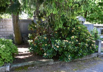 Horní Ves Chomutov, Omnium, 2020