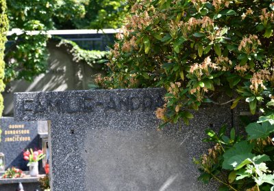 Horní Ves Chomutov, Omnium, 2020