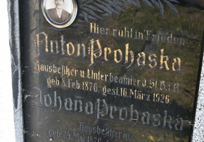 Horní Ves Chomutov, Omnium, 2020