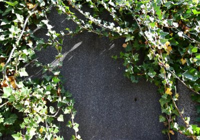 Horní Ves Chomutov, Omnium, 2020