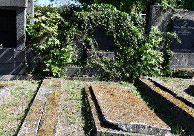 Horní Ves Chomutov, Omnium, 2020