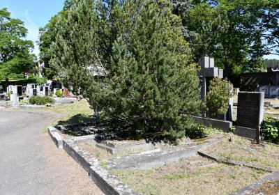 Horní Ves Chomutov, Omnium, 2020