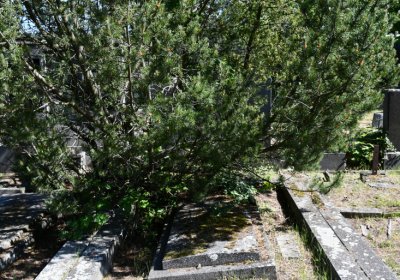 Horní Ves Chomutov, Omnium, 2020