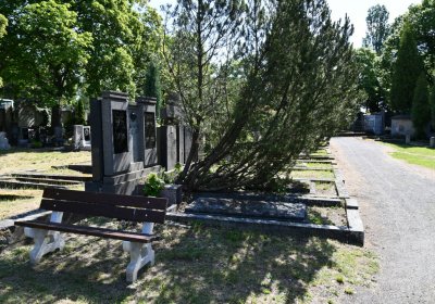 Horní Ves Chomutov, Omnium, 2020