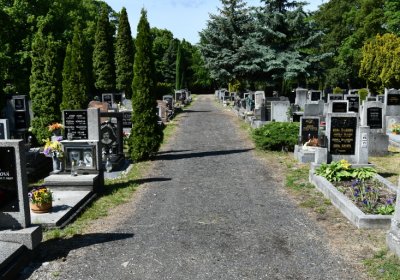 Horní Ves Chomutov, Omnium, 2020