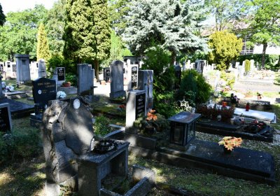 Horní Ves Chomutov, Omnium, 2020